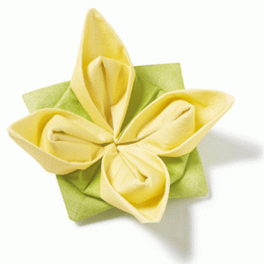 Vouwbare servetten groen en geel kopen