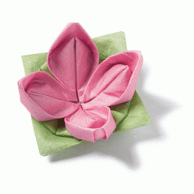 Vouwbare servetten groen en roze kopen